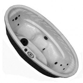 Спа бассейн Premium Leisure Vitalizer